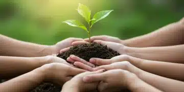 Hands holding a green plant, symbolizing ethical sourcing and sustainability